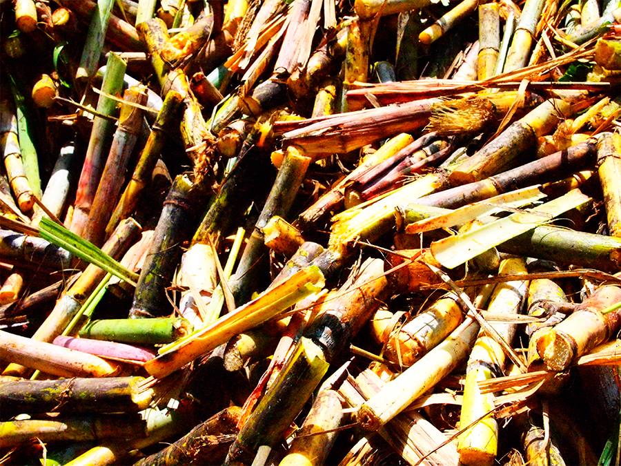 cogeração de energia